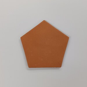 May include: A terracotta tile in the shape of a pentagon. The tile is a light orange color.
