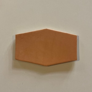 May include: A hexagonal shaped tile with a light brown color.