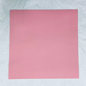 May include: A solid pink sheet of paper.