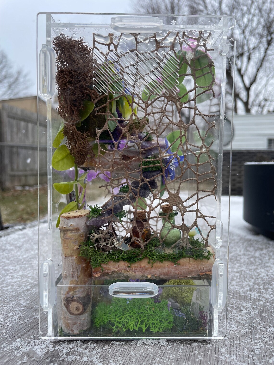 Jumping Spider Enclosure, Jumping Spider Home, Spider Habitat, Purple ...