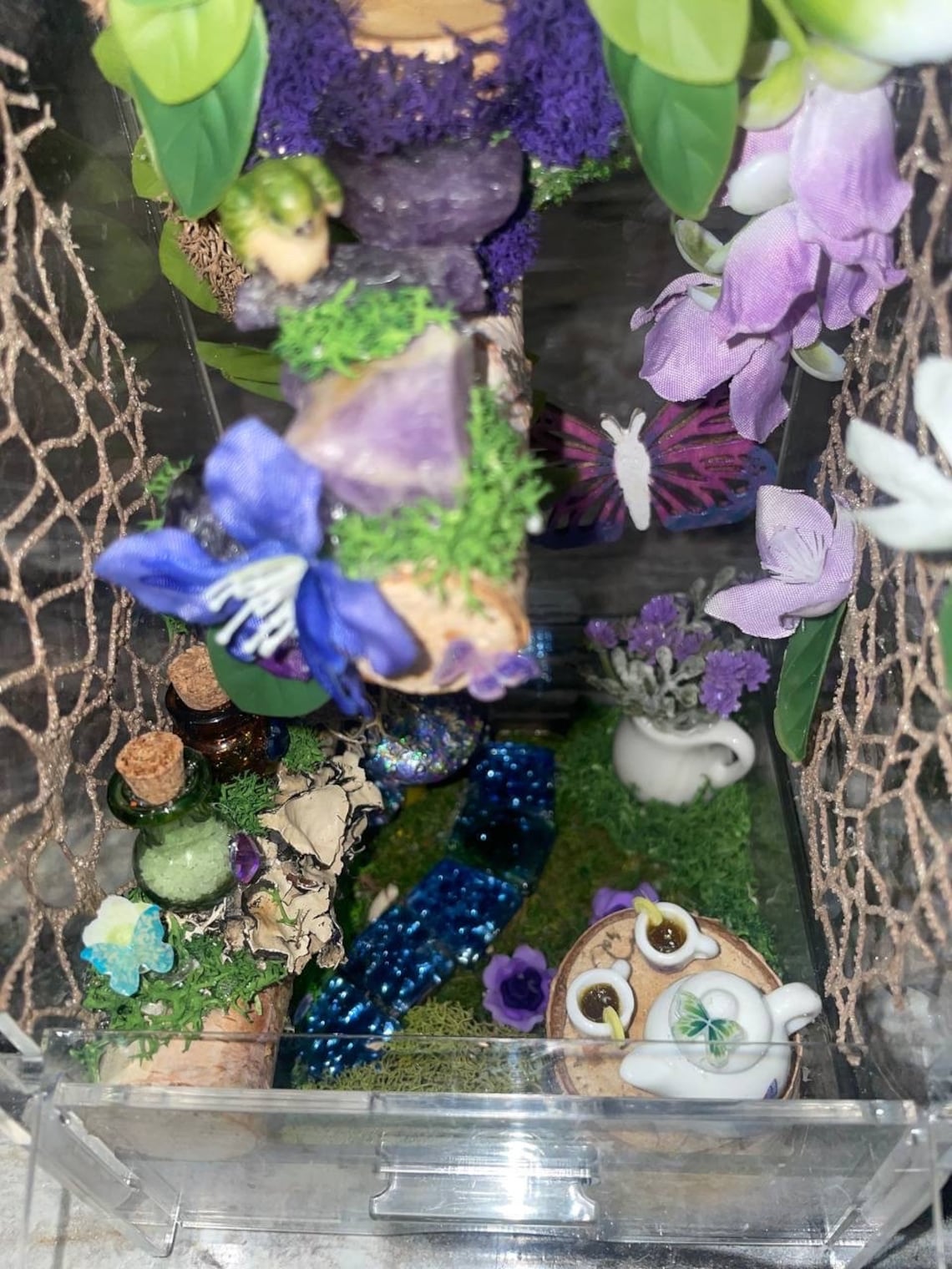 Jumping Spider Enclosure, Jumping Spider Home, Spider Habitat, Purple ...