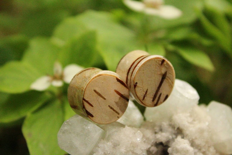 Stretcher Tunnel Real Wooden Woodland Forest Fairy Jewellery Down to Earth Rocky Mountain Explore Paper Birch Bark Double Flare Ear Plugs