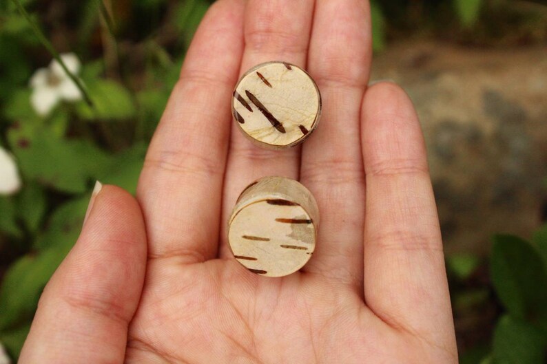 Stretcher Tunnel Real Wooden Woodland Forest Fairy Jewellery Down to Earth Rocky Mountain Explore Paper Birch Bark Double Flare Ear Plugs
