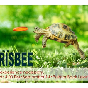 Ultimate Frisbee Turtle - Program Advertisement -  Text Fully Editable