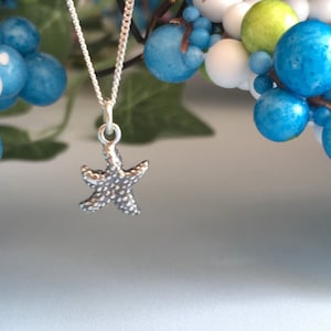 May include: A silver necklace with a small, detailed starfish pendant. The necklace is hanging against a background of blue, white and green berries.