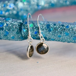 May include: A pair of silver dangle earrings with dark grey gemstone drops.
