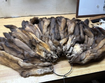 Tanned Sable Hide