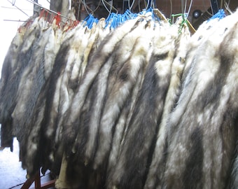 Tanned Opossum Fur Pelts, Hide