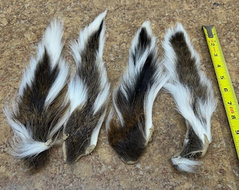 Tanned White Tail  Deer Tails You get all 4 You see ( Great for Fly Tying )