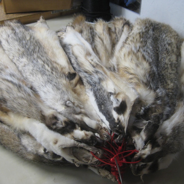 Tanned Western Badger Hides