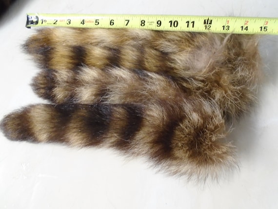 Tanned Raccoon Tail (Coon Tail) - Fur Crafts, #2 Grade, Yellow ID Tag, Small Animal Fur