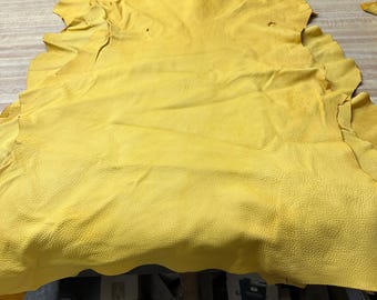 May include: A large, irregularly shaped piece of bright yellow leather with a distinct pebbled texture. The hide features natural edges and a soft, flexible appearance, laid out flat to display its full surface area and vibrant, uniform color.