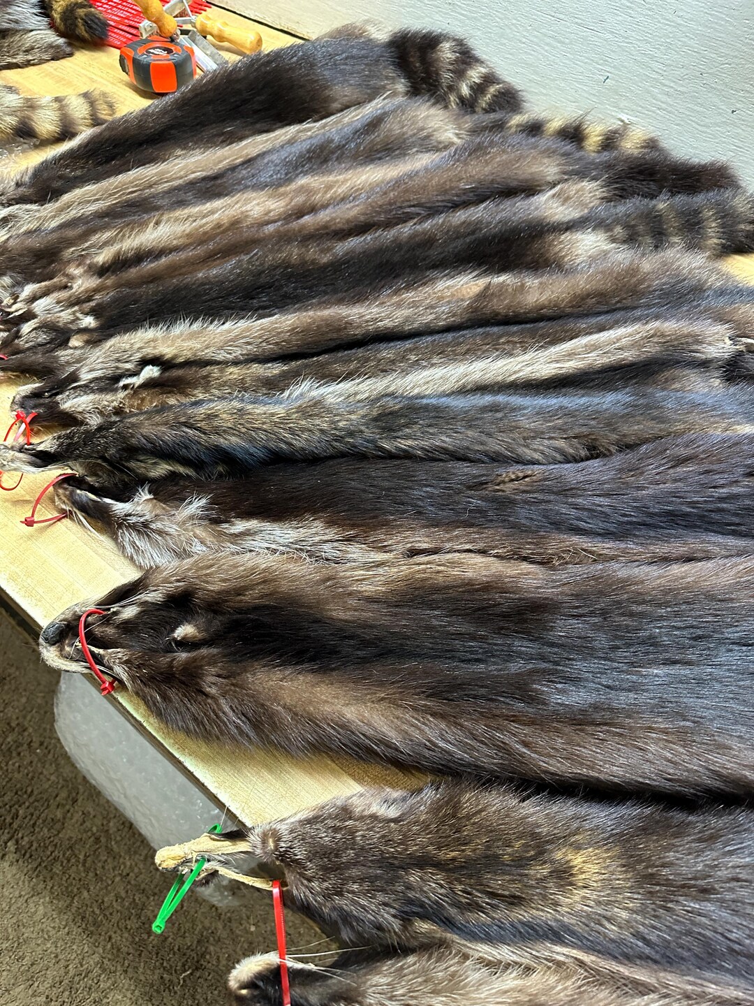 How to Identify and Address Raccoon Damage on Your Roof