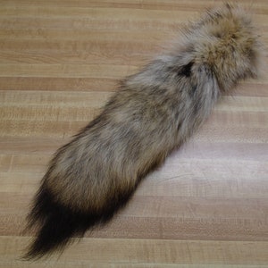 Tanned Coyote Tail