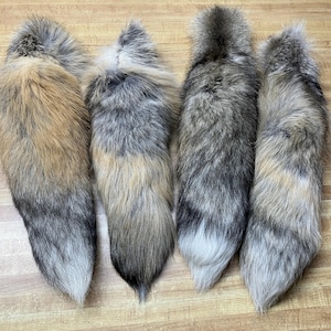 Golden Island Fox Tail