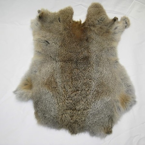 Rabbit Hide Natural Rabbit Pelt