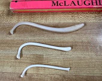 Raccoon Baculum Bone - You Are Buying 3   (1)-Large (1)-Med (1)-Small