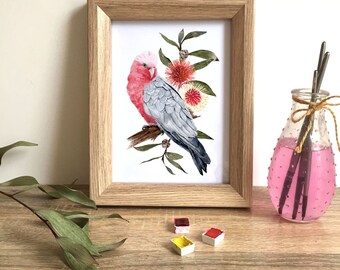 Galah Wall Art Etsy