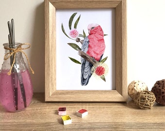 May include: A framed watercolor painting of a pink and gray galah parrot perched on a branch with pink and yellow flowers. The painting is set against a white background and is framed in a light wood frame.