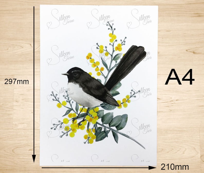 Art Print A4 Willie Wagtail in the Garden of Australian Dreams - Stuart McMillen main image 0