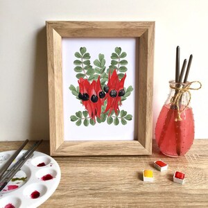Sturt's Desert Pea Flower Art Native Australian Flora Watercolour Art Work wall and home decor A5 or A4 print