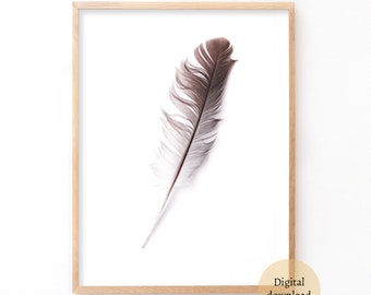 Feather, Feather Printale Poster, Digital Download, Fine art Photography, Minimalistic Poster