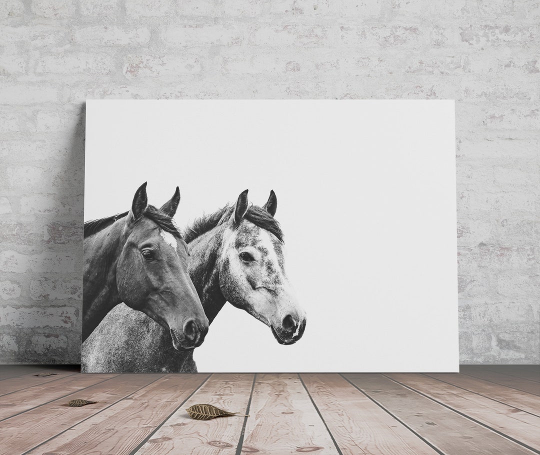 Horse Printable Horses Photo Horse Download Black and - Etsy
