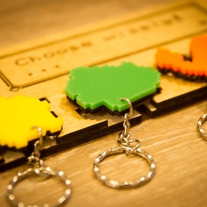 May include: Four pixelated keychains with different colors and shapes, including green, yellow, orange, and blue. The keychains are attached to a wooden board with the text "Choose wisely" engraved on it.