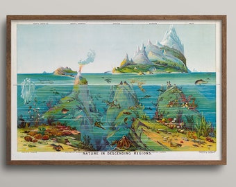 Vintage Nature chart, Vintage Nature print, Vintage style Print, Antique Nature Print, Vintage Ocean Gift, Old Nature poster, Nature chart