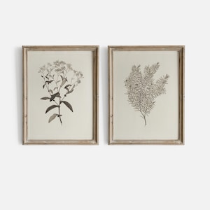 Antique Botanical Print Set - Vintage Herbarium Wall Art