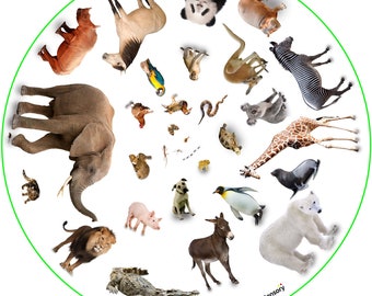 Animals Playmat- Easy to Clean Animals Mat for learning