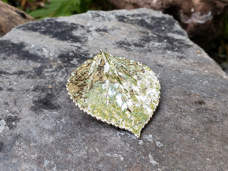 Real Leaf Silver Brooch Pin Real Dipped Aspen Leaf Real Leaf Jewelry Bridesmaids Wedding Gifts SAB Mother Wife Anniversary