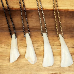 Authentic Buffalo Tooth Necklace - Handmade Rustic Viking Artisan Crafted, Native Tribal Style Custom Jewelry, Leather or Chain Option | BTN