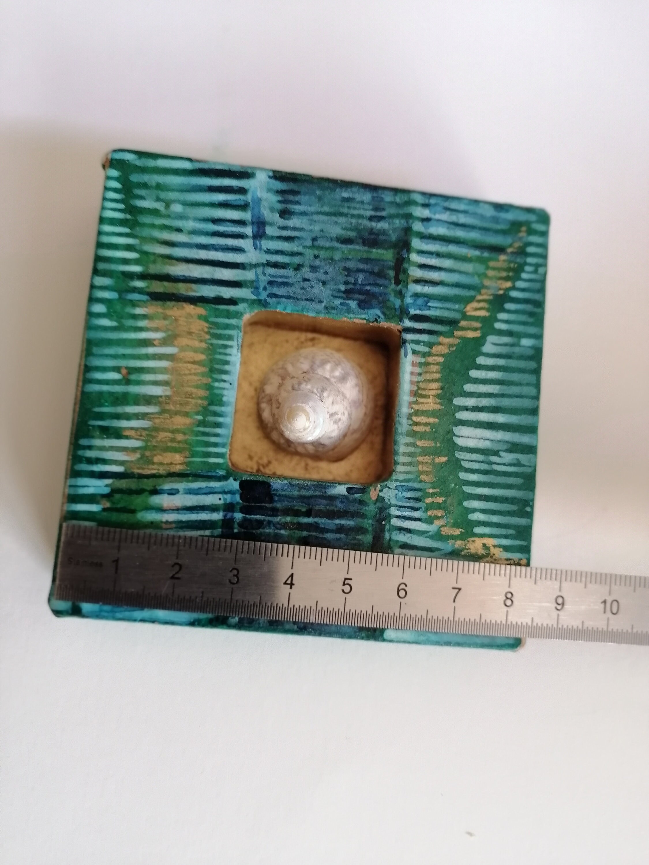 Coquillage Encadré.