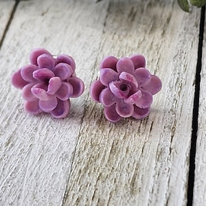 Polymer Clay Sukkulenten Ohrstecker, handgemachte Blumen Ohrringe, Botanischer Kaktus Schmuck, Sukkulenten Ohrringe