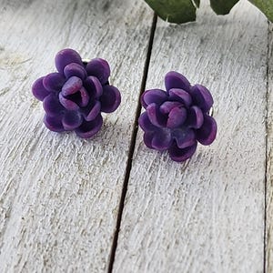 Polymer Clay Sukkulenten Ohrstecker, handgemachte Blumen Ohrringe, Botanischer Kaktus Schmuck, Sukkulenten Ohrringe