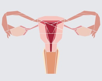 Anatomical Uterus Paper Piecing Pattern