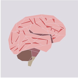 Anatomical Brain foundation paper piecing pattern - gift for scientist - pattern download PDF - medical quilt make your own body quilt block