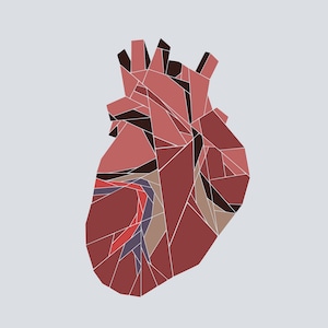 May include: A geometric illustration of a human heart in shades of red, brown, and blue.