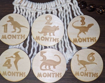 Dinosaur Baby Monthly Milestone Cards | Adventure | Wooden Milestone Cards | Baby Milestone Prop | Baby Shower Gift Idea | Photo Milestone