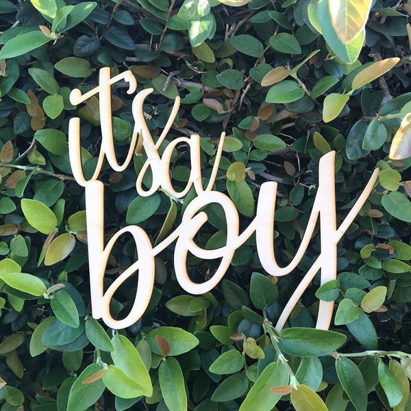 Maternity Photo Prop Etsy