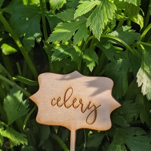 Custom Set Herb or Vegetable Wooden Garden Picks | Garden Stakes | Herb Garden | Garden Labels | Garden Markers