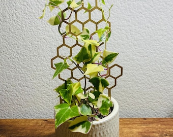 Small METAL Honeycomb Trellis Indoor Plant Support Art | Honey Comb Plant Support | Shelf Plant Decoration Small Potted FREE SHIP
