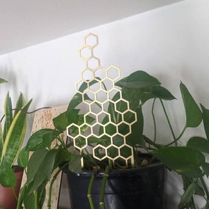 May include: A gold metal honeycomb-shaped plant trellis is placed in a black pot with a green leafy plant. The plant is growing up the trellis. The pot is sitting on a wooden shelf.