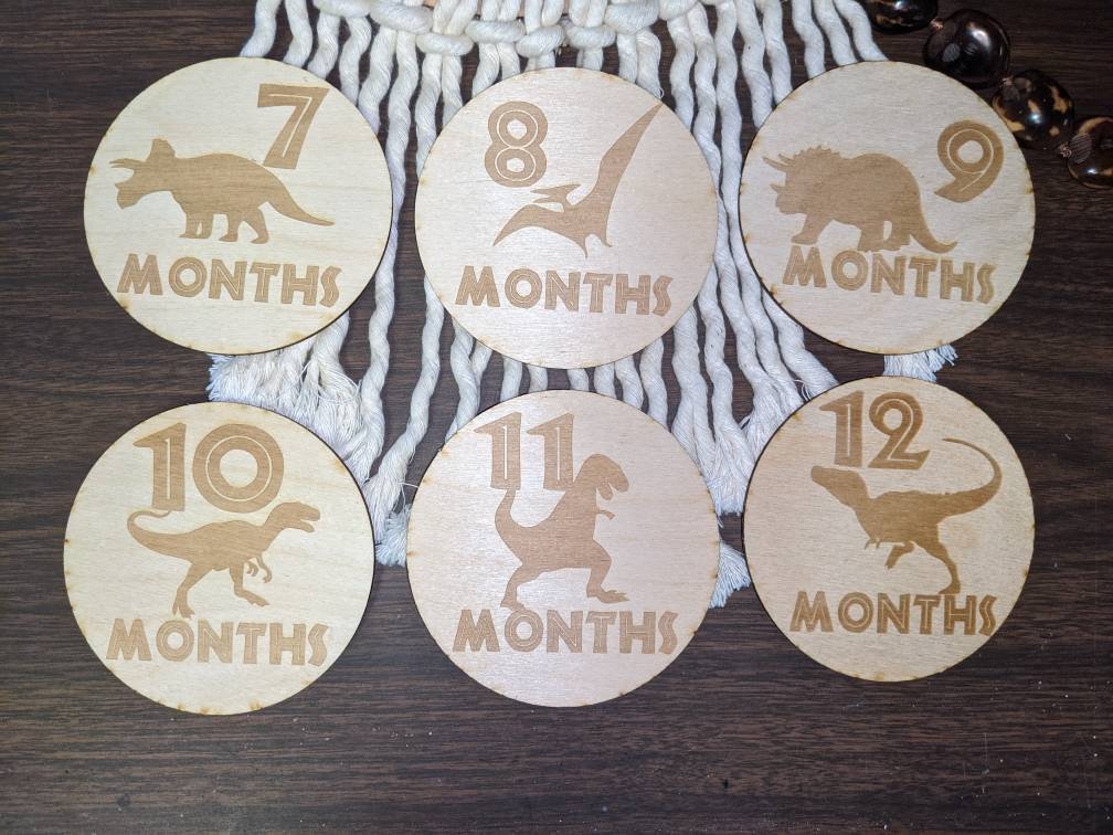 Dinosaur Baby Monthly Milestone Cards | Adventure | Wooden Milestone ...