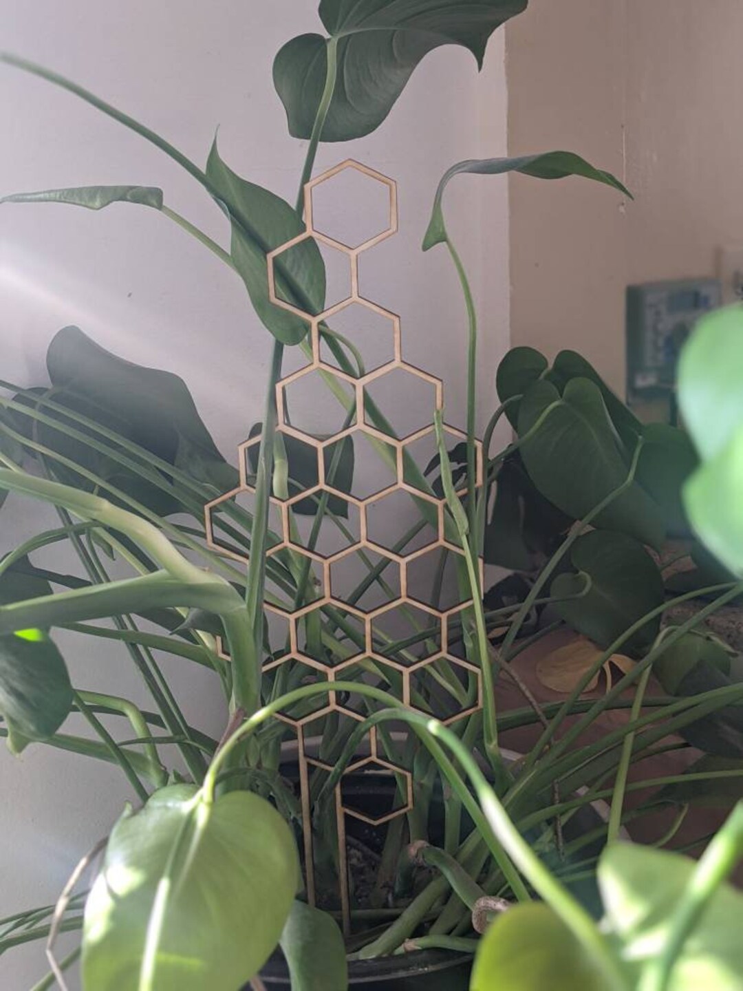 Large METAL Trellis Indoor Plant Support Honey Comb Plant