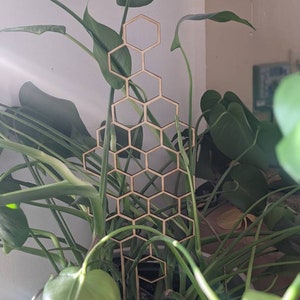 Large METAL Honeycomb Trellis Indoor Plant Support | Honey Comb Plant Support | Shelf Plant Decoration Potted Plant Trellis FREE SHIP