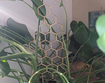 Large METAL Honeycomb Trellis Indoor Plant Support | Honey Comb Plant Support | Shelf Plant Decoration Potted Plant Trellis FREE SHIP