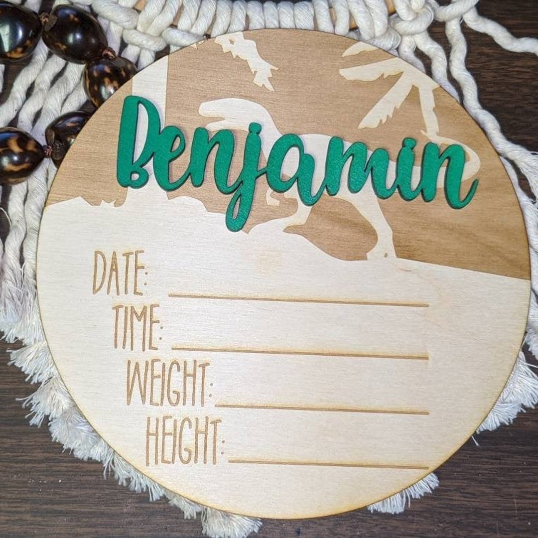 Dinosaur 3D Name Date Time Weight Length Personalized Announcement ...