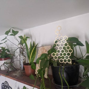 May include: A wooden shelf with several potted plants, including a snake plant, a pothos, and a philodendron. A gold honeycomb-shaped metal wall decor is hanging on the wall behind the plants.